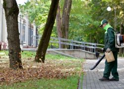 Grounds Maintenance