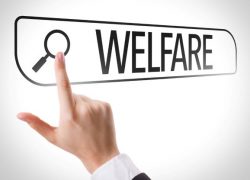 Welfare in Schools